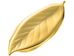 EBM 18-8 ؍ Jg[Xg S[h 1019100