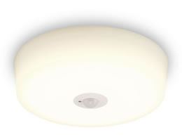 ACXI[} ^V[OCg lZT[ 2000lm dF