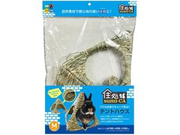 nCybg Zsumi-CA egnEX MTCY