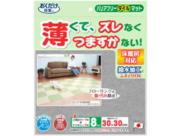 TR[ oAt[ ^C}bg O[&AC{[ 2F KH-21