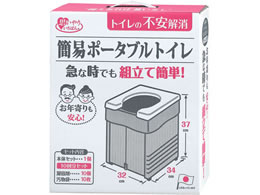 TR[ ȈՃ|[^ugC O[ 10 R-56