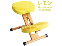 {쏊 v|[V`FApւJo[  CV-8K