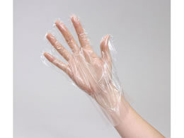 A[ebN rj[ lp 100 51222