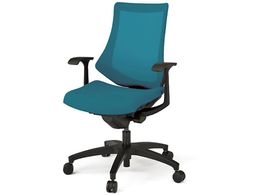 Cg[L Gt`FA bV nCobN T^I {̍ XgOu[