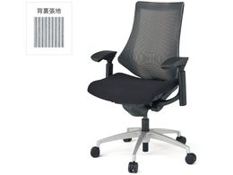 Cg[L Gt`FA bV nCobN IA~r{̍O[ZTW9