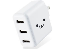 GR AC[d 3.6Ao USB 3|[g 18W 낿 MPA-ACU12WF