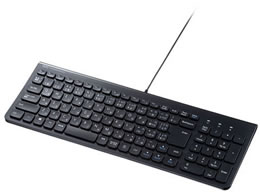 TTvC USB Type-CXL[{[heL[t SKB-SL31CBK