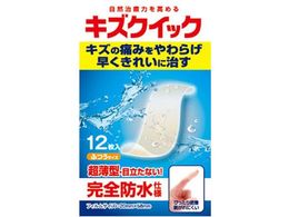 mw LYNCbN ӂTCY 12yǗË@z