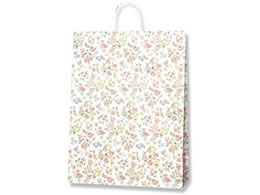 wCR[  25`[obO JX^B }lXN 50 003282600