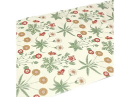 J mtCNV[g Morris Daisy MTCARW008