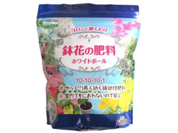 g\R[|[V Ԃ̔엿 zCg{[ 500g
