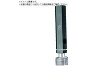 OSG ˂pEvOQ[W [g M ˂ 31233 31233