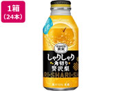 |bJTb|/肵p؂ґ 400g{g 24{