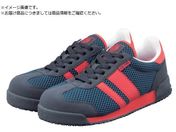 T_X/SD0032 DAYTONA lCr[&bh 25.5