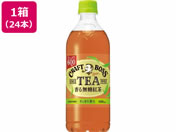 Tg[t[Y Ntg{X TEAmVK[ 600ml~24{