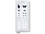 ���͕\(���~�l�[�g���H)�����p 5m/0-6721-04