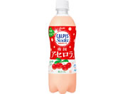 �A�T�q����/�J���s�X�\�[�_ �썑�A�Z���� 500mL