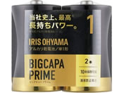 ACXI[}/AJdr BIGCAPA PRIME P1`2{pbN