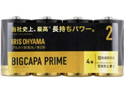 ACXI[} AJdr BIGCAPA PRIME P2`4{pbN