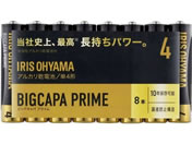 ACXI[} AJdr BIGCAPA PRIME P4`8{pbN