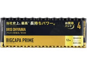 ACXI[}/AJdr BIGCAPA PRIME P4`12{pbN