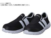 T_X/SL-250 yʈSXbvI ubN&zCg 25.5