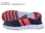T_X/SL-250 yʈSXbvI lCr[&bh 26.0