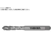 } XpC^bv SP P3 M6X0.5 SP-P3-M6X0.5+30