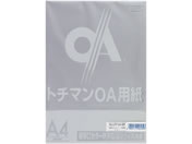 SAKAEテクニカルペーパー/極厚口カラーPPC A4 グレー 50枚