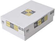 APPJ カラーコピー用紙 クリーム A3 500枚×3冊 CPY002