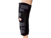 �V�O�}�b�N�X/�n�C�u���b�h�V�[�l�j�[(���ȃ^�C�v)�G�T�|�[�^�[ 24-7429-02 198101(S)