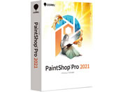 R[ PaintShop Pro 2021 289970