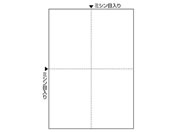 qTS }`v^[A4  4 100 FSC2006