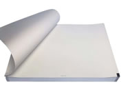 ���΂�/�S�d�}�p�L�^�� 25-3868-08 CQW210-10-295(5�T�c)