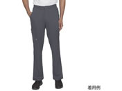 Healing Hands/HH WORKS スクラブパンツ RYAN L グレー