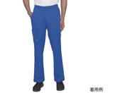 Healing Hands/HH WORKS スクラブパンツ RYAN LL ロイヤルブルー