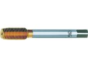 OSG ^bv 21668 TIN-NRT-P-STD-M2.5X0.45 21668