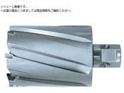 日東/ジェットブローチ ワンタッチタイプ 51X75L 19196 NO.19196