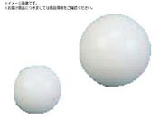 tP~J/tbf PTFE  19.05 NR0308-006