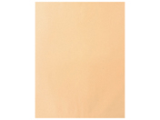 t Ntg B3p(440~570mm)120g^m2 100