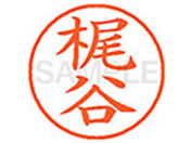 �V���`�n�^ XL-9(���J)