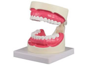 Erler-Zimmer �������w���͌^ 100�~140�~90mm 7-743-01