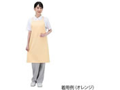 ���R�E/�R�E�C���X�G�v���� Dr.Earth �������|�� �\�t�g�O���[��/7-780-03