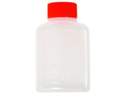 �������w/�^���� �p�� (D) 50��