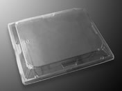 �������w/CT WF-22 �h�܊W 50��