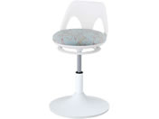 アズワン/クランケチェア ラクーン アニマル/7-9661-07