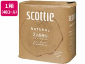 �N���V�A/�X�R�b�e�B �i�`������ 3�{������ �_�u�� ������ 75m 4���[���~12�p�b�N