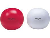 TOEI LIGHT �g�[�G�C���C�g �g����� 100(2�F1�g)