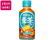 �R�J�E�R�[��/�₩��̔��� 200mLPET�~60�{