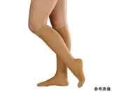 �A���P�A/�A���V���N�E2 �u���C�g �n�C�\�b�N�X(�ܐ悠��)�N���A�x�[�W�� L